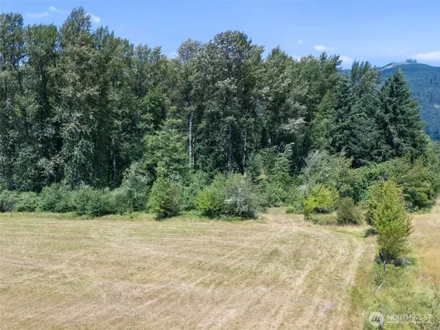 a view of a yard with a tree