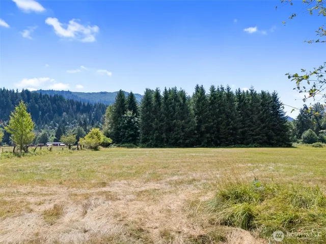 a view of outdoor space and trees