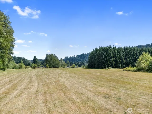a backyard of a house with lots of green space and trees all around