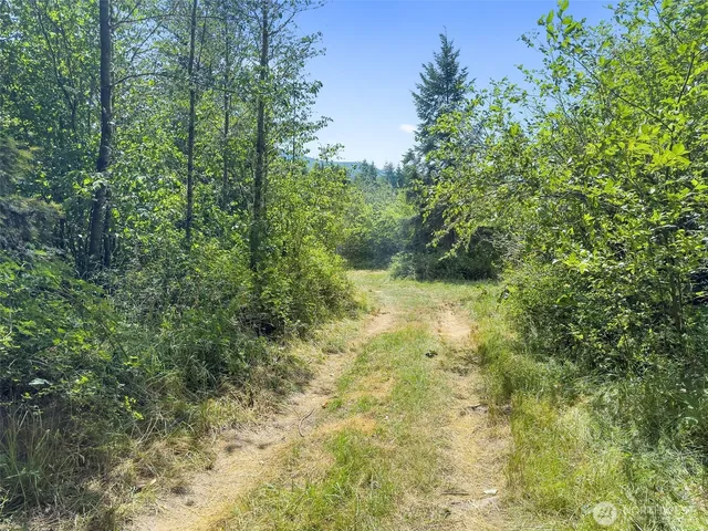a view of an outdoor space and a yard