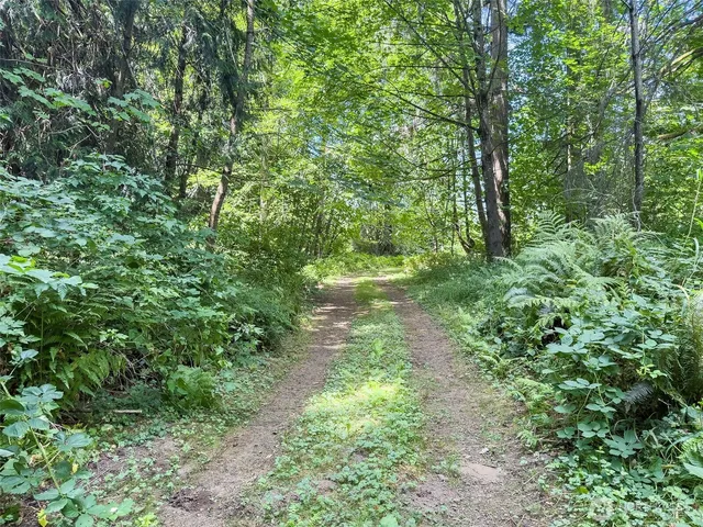 a view of a lake with a mountain