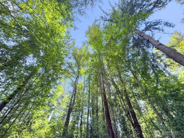 $410,000 | 12 Glenoma Wa 98336, Glenoma, WA 98336