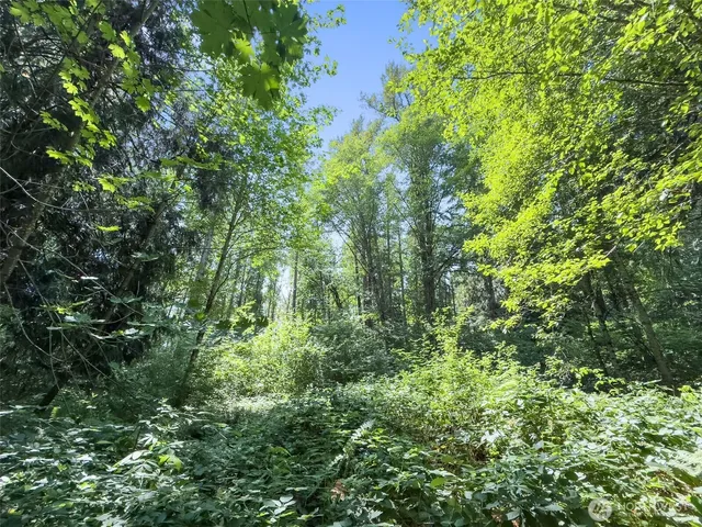 $410,000 | 12 Glenoma Wa 98336, Glenoma, WA 98336