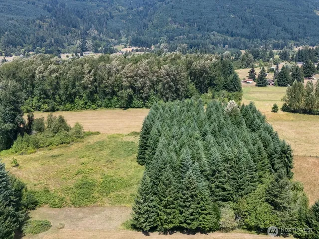 a view of a dry yard