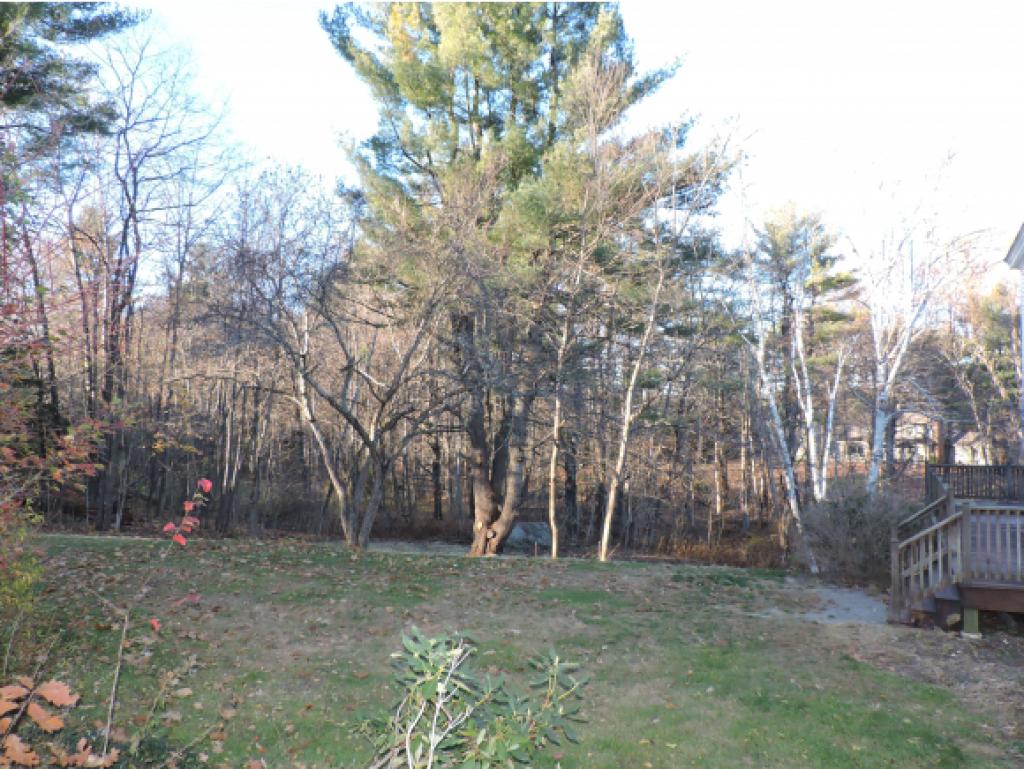56 Old Henniker Road Hopkinton, NH 03229 - Photo 29 of 32