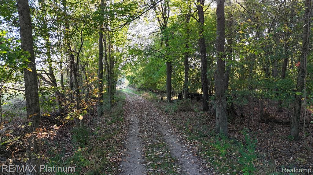 0 Chapman Road Stockbridge, MI 49285 - Photo 5 of 20