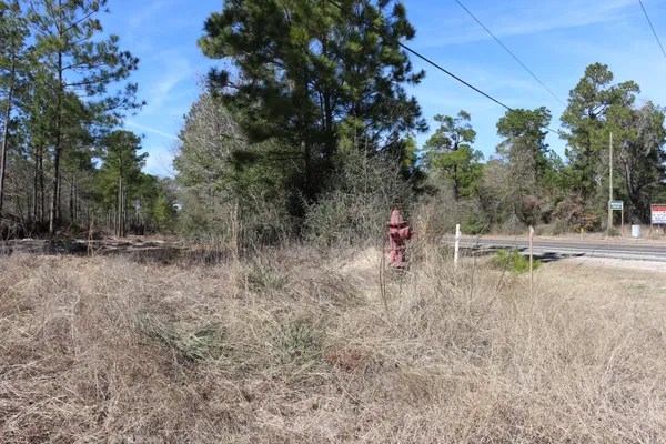 a childrens park with lots of trees