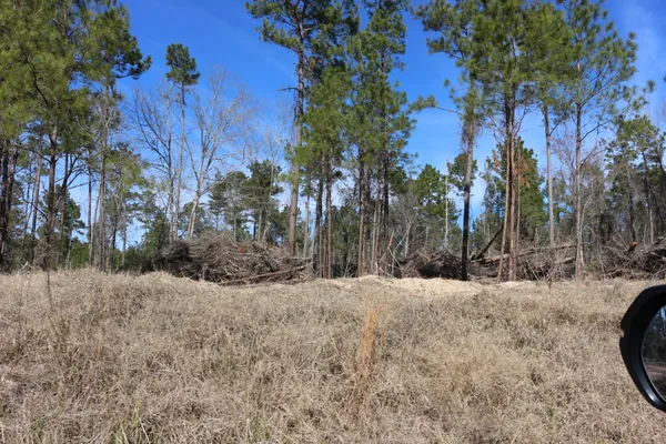 a view of a yard with trees