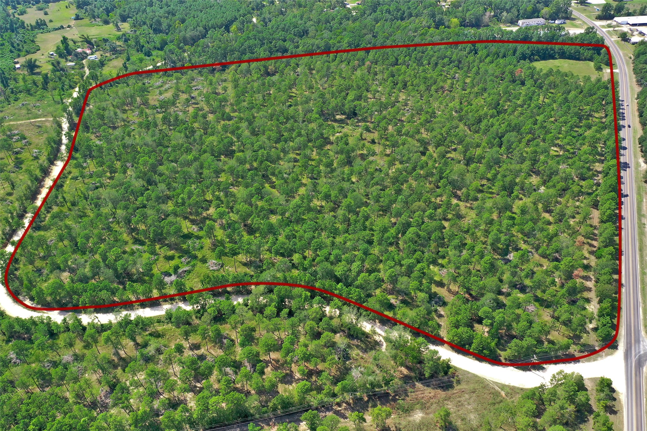 12-1 North Hanson Road Onalaska, TX 77360 - Photo 44 of 44 a close up of a plant in a garden