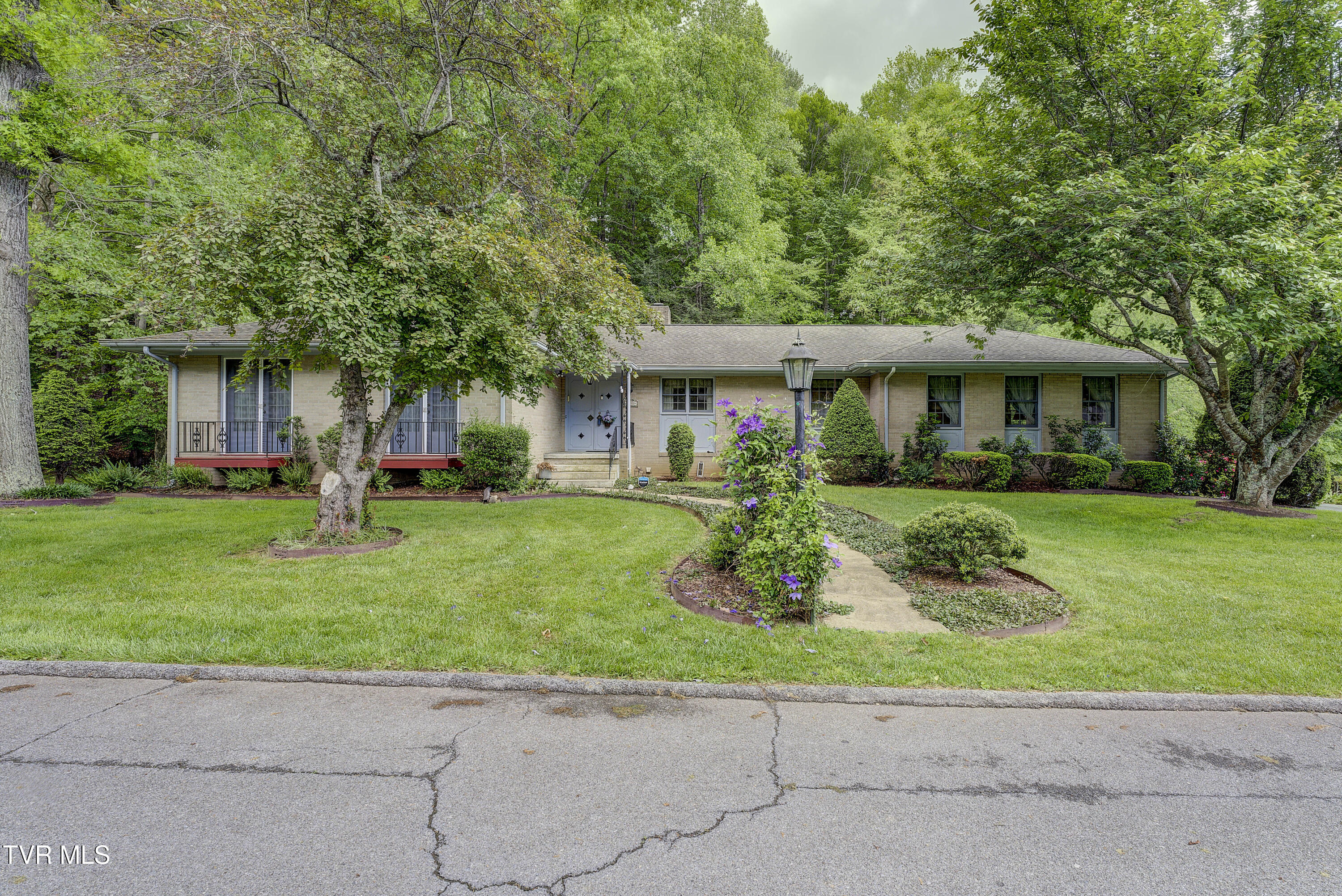 600 Valley Avenue Erwin, TN 37650 - Photo 2 of 63 Valley-61