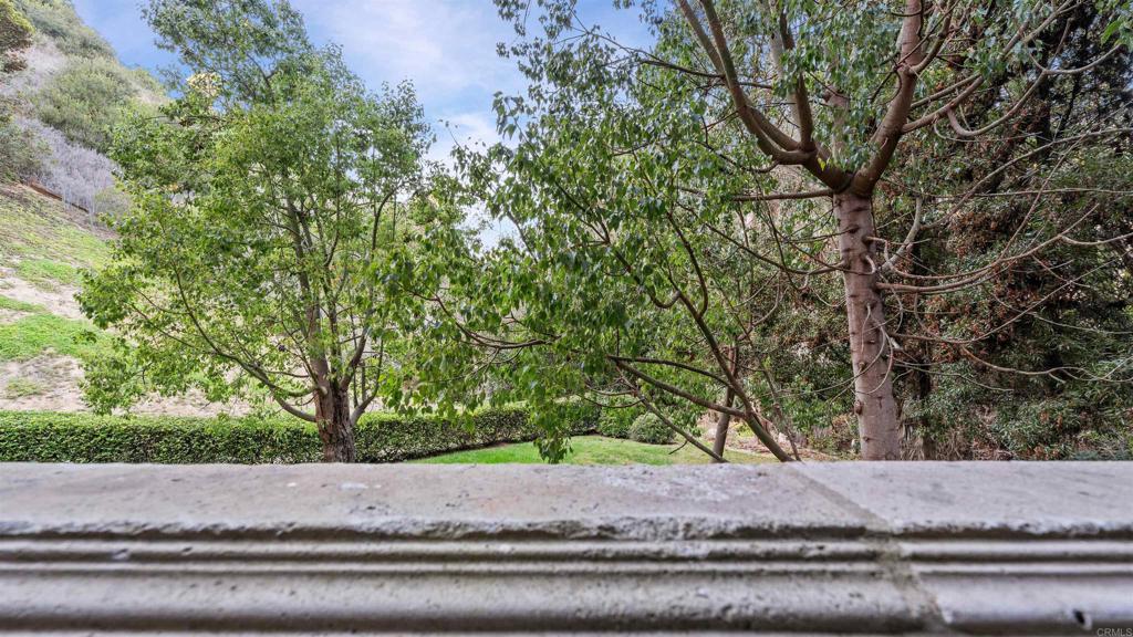 2894 Torrey Pines Road La Jolla, CA 92037 - Photo 13 of 46