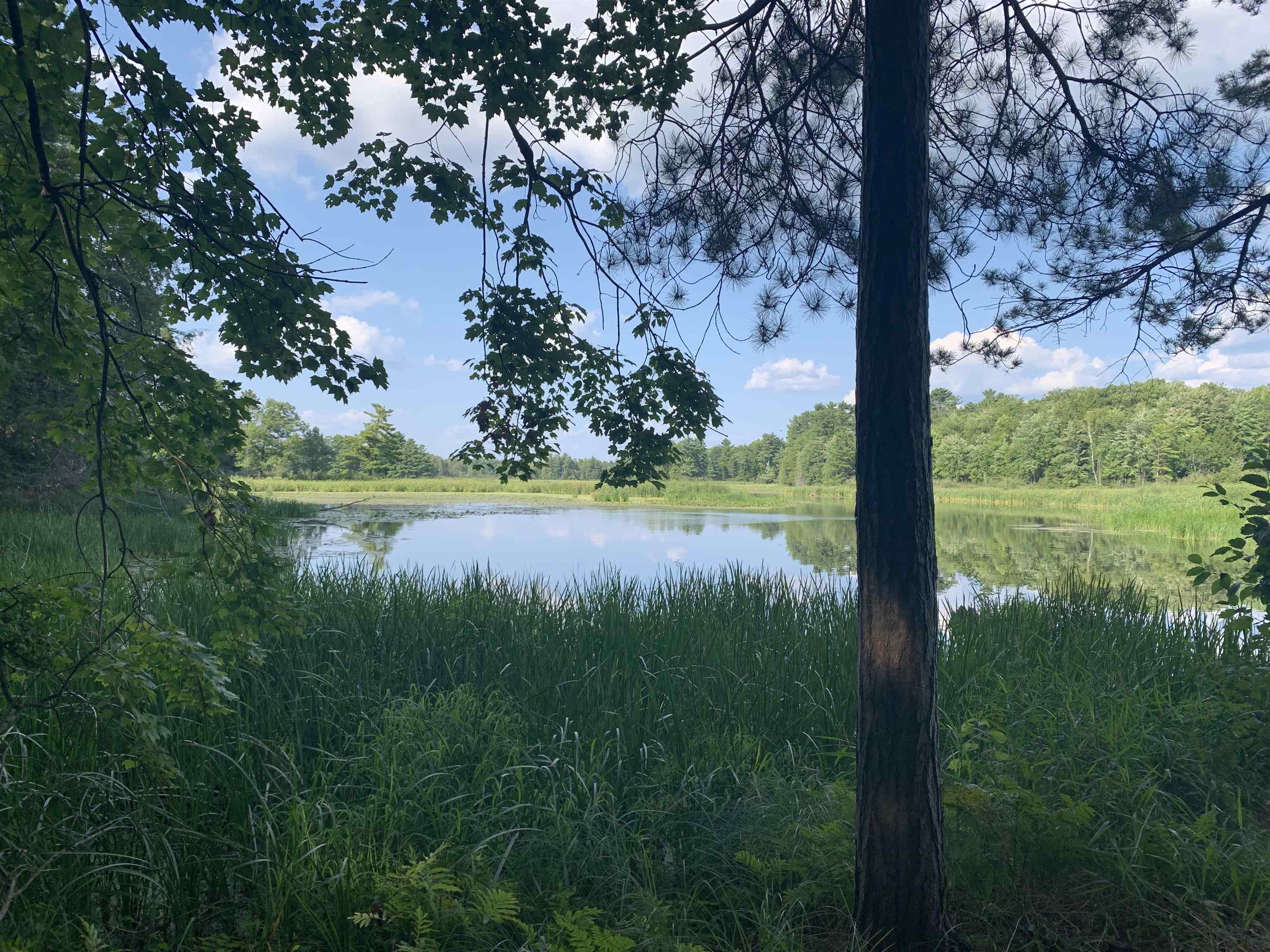 7.86-acres County Rd Y Rosholt, WI 54473 - Photo 1 of 1