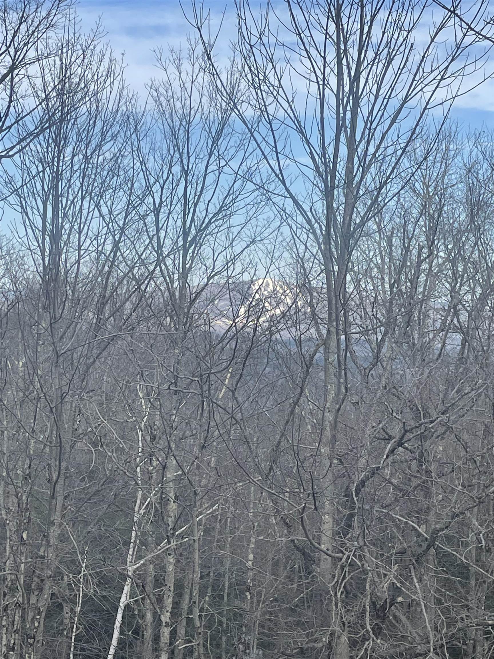 7 Stratton West Road, Unit 7 Winhall, VT 05340 - Photo 42 of 48