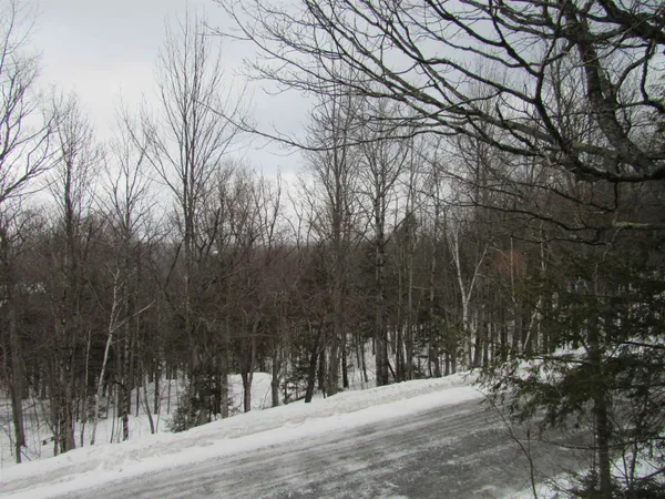 $475,000 | 7 Stratton West Road, Unit 7, Winhall, VT 05340