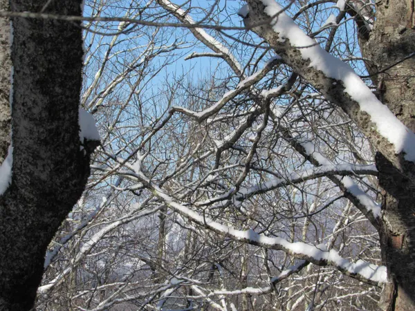 $475,000 | 7 Stratton West Road, Unit 7, Winhall, VT 05340