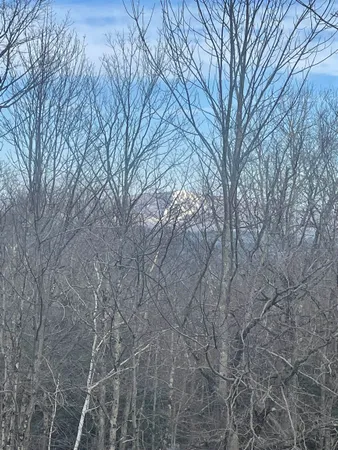 $475,000 | 7 Stratton West Road, Unit 7, Winhall, VT 05340