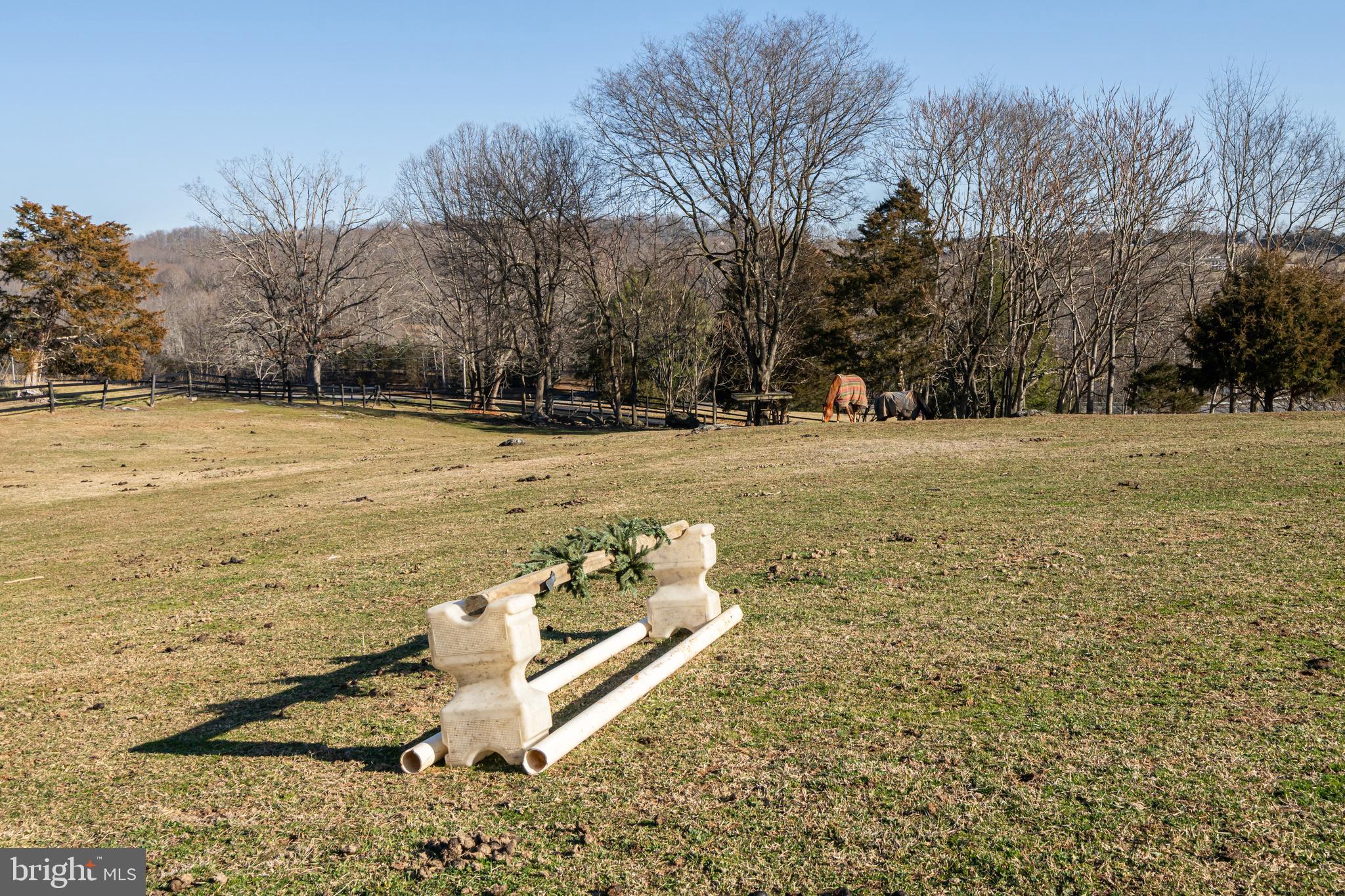 8487 Leeds Manor Road Warrenton, VA 20186 - Photo 6 of 53 Plenty of riding space! Fox hunts meet 5 mins away