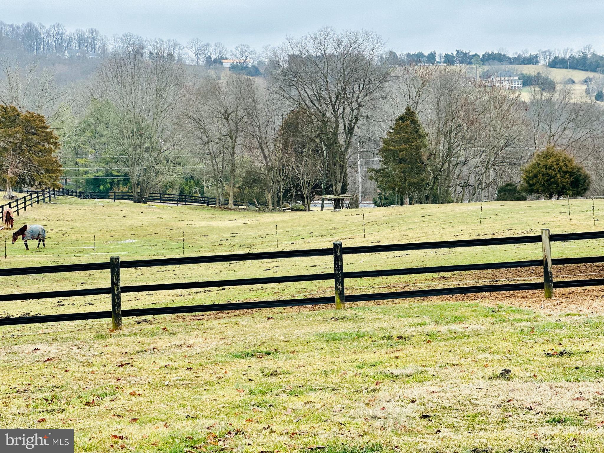 8487 Leeds Manor Road Warrenton, VA 20186 - Photo 9 of 53 Multiple different pastures for optimal rotation