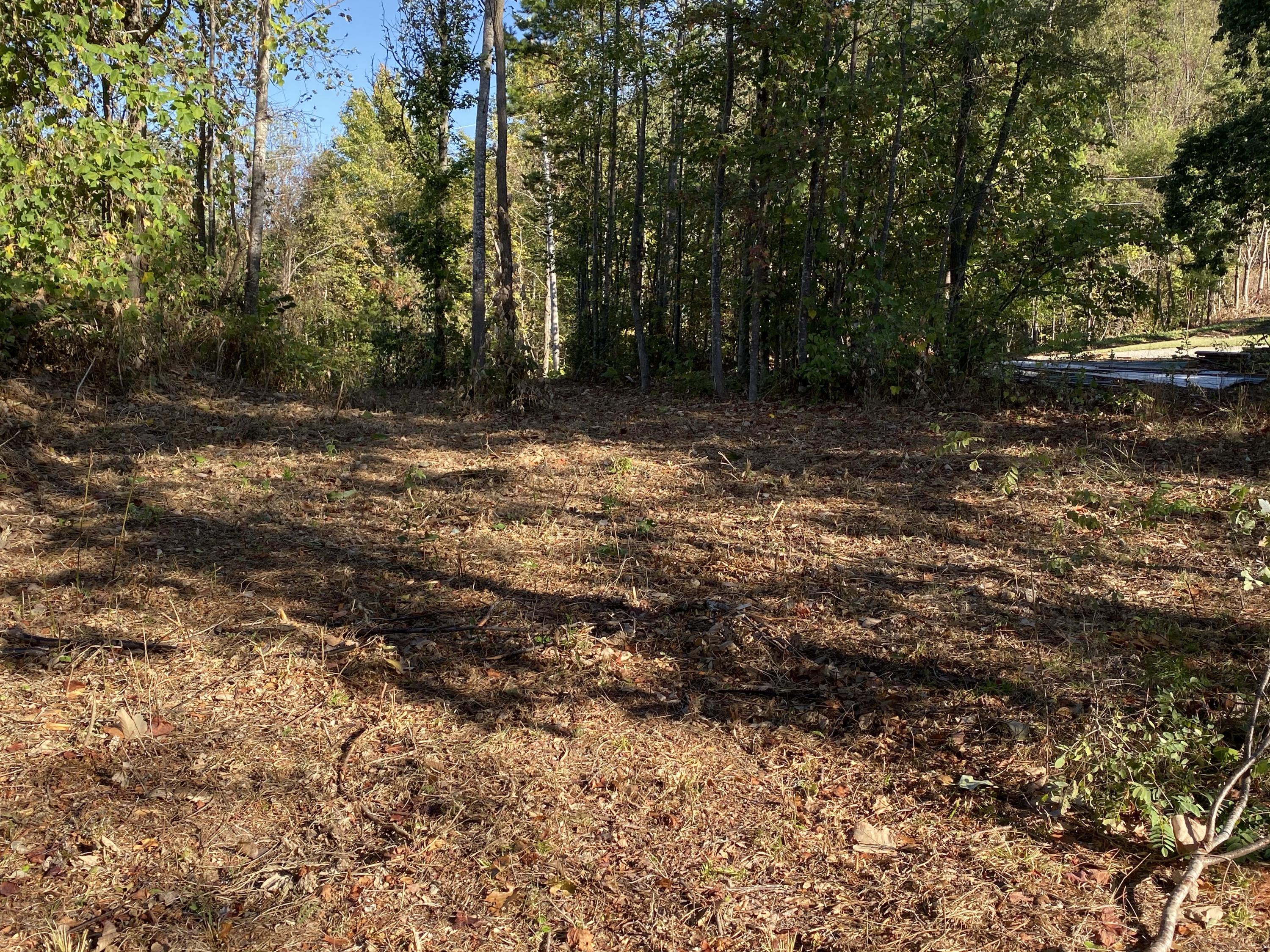 Ridgewalk Road Cosby, TN 37722 - Photo 8 of 12 IMG_0144