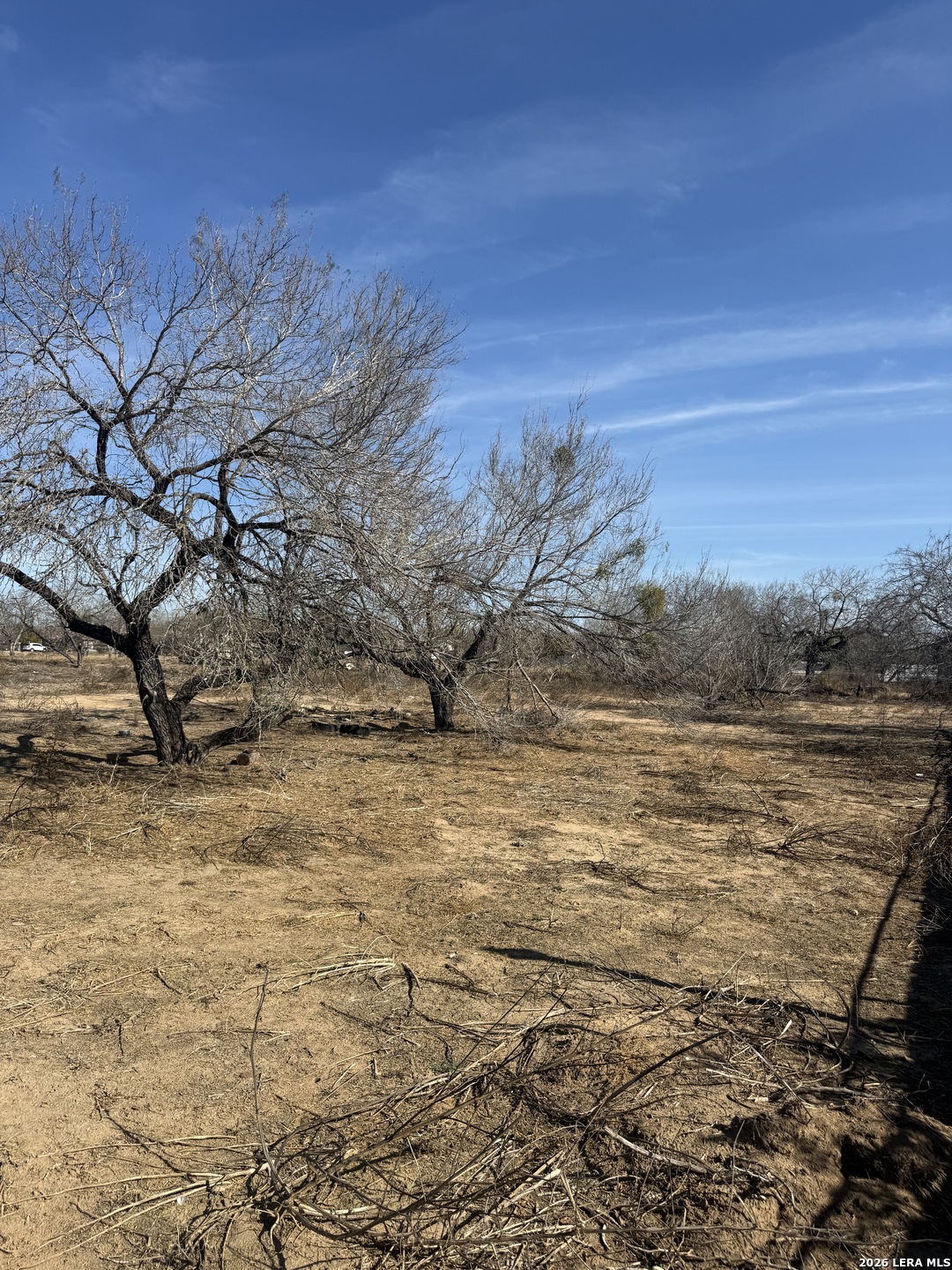 412 North Transportation Drive Devine, TX 78016 - Photo 16 of 16