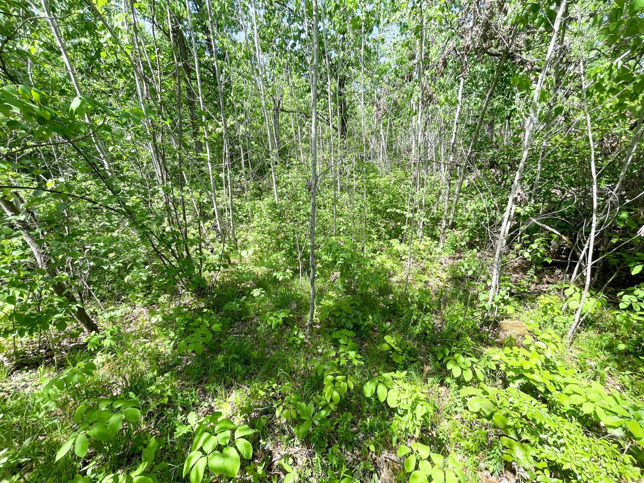 Tbd Stone Lake Road Southwest Bemidji, MN 56601 - Photo 18 of 29