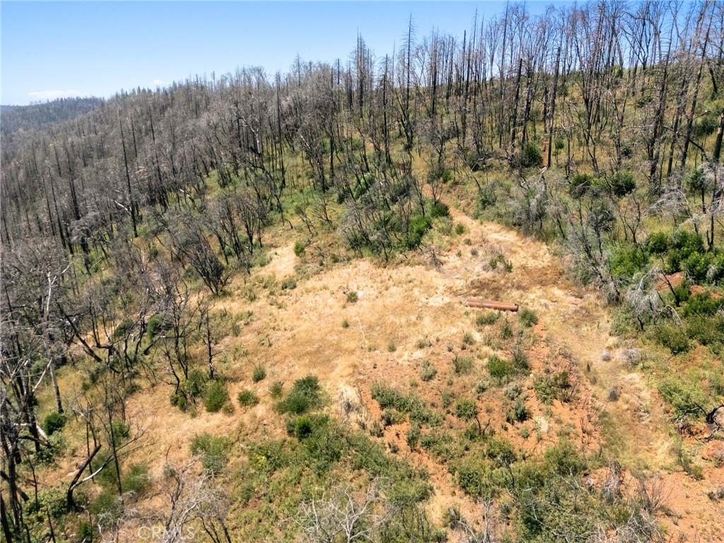 335 Mann And Nolta Ridge Chico, CA 95973 - Photo 8 of 25