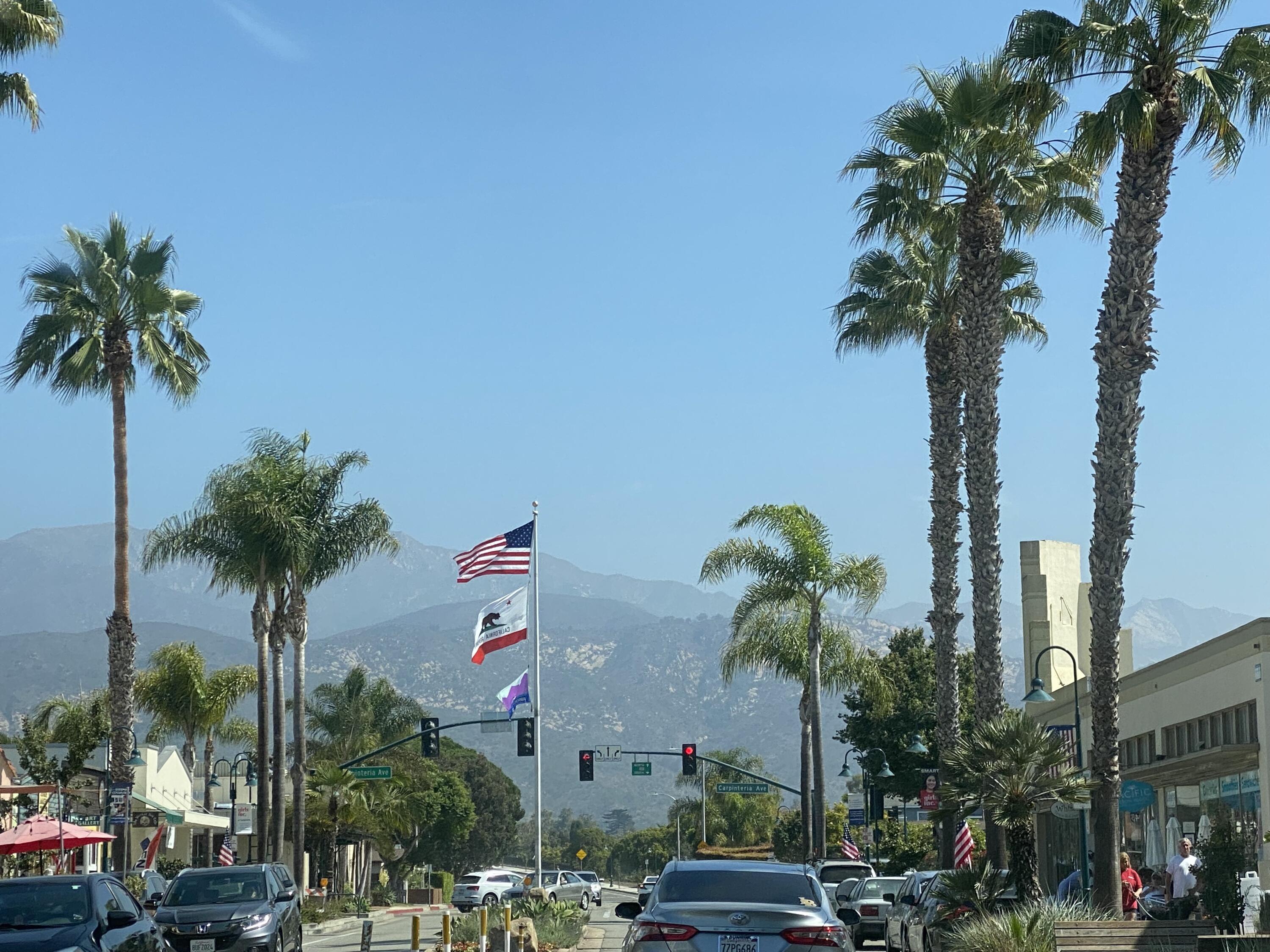 4700 Sandyland Road, Unit 35 Carpinteria, CA 93013 - Photo 30 of 38 a plant on a table in front of a building