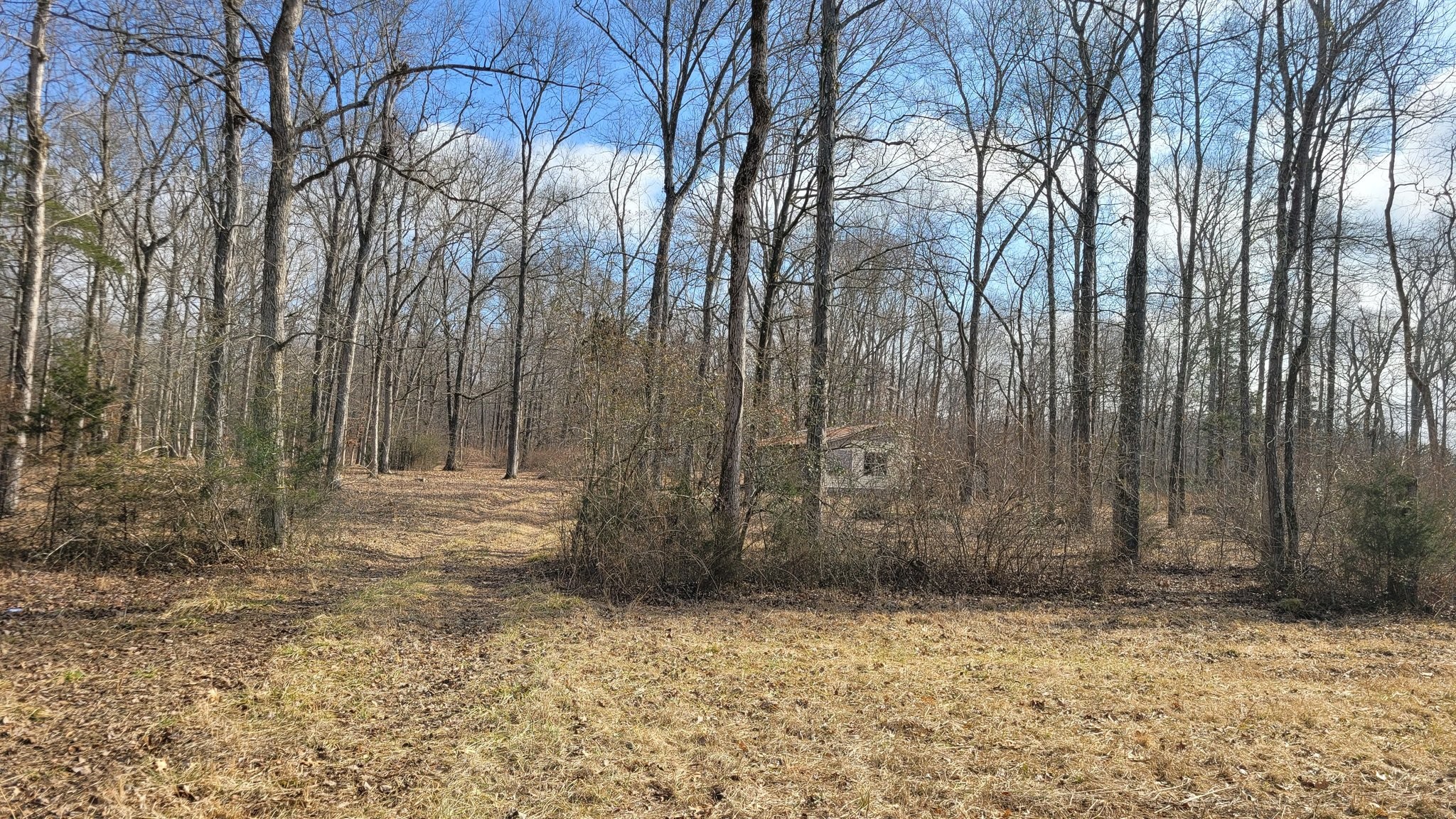 320 Pass Road Shelbyville, TN 37160 - Photo 3 of 5