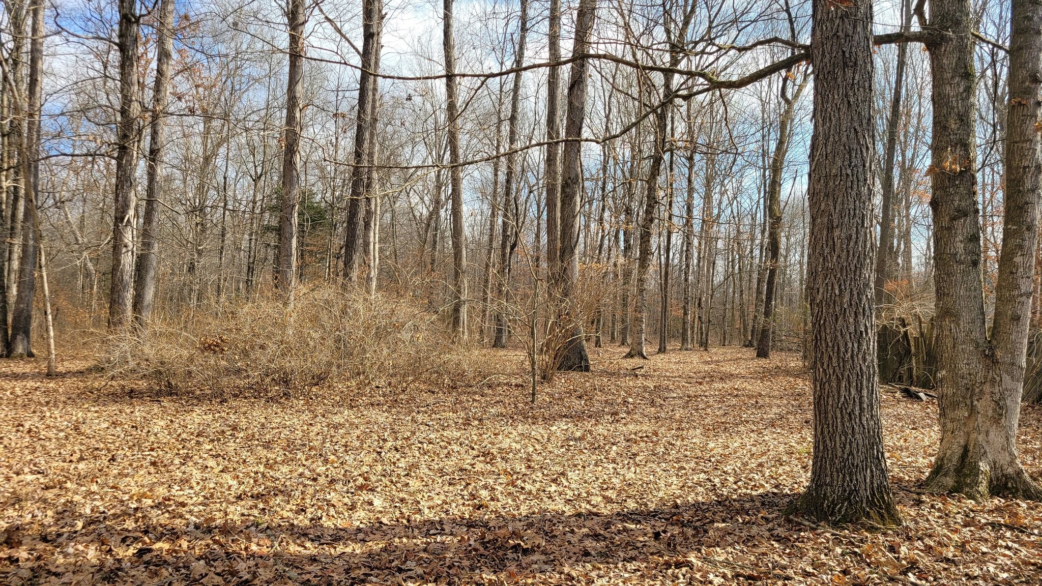 320 Pass Road Shelbyville, TN 37160 - Photo 5 of 5