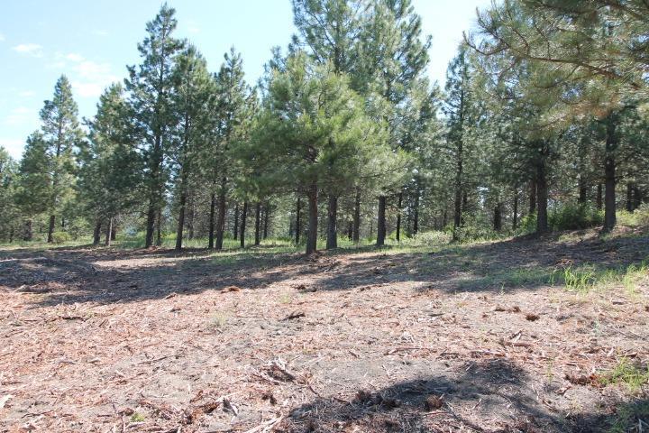 0 Spring Trail Court Chiloquin, OR 97624 - Photo 19 of 27 Additional Photo