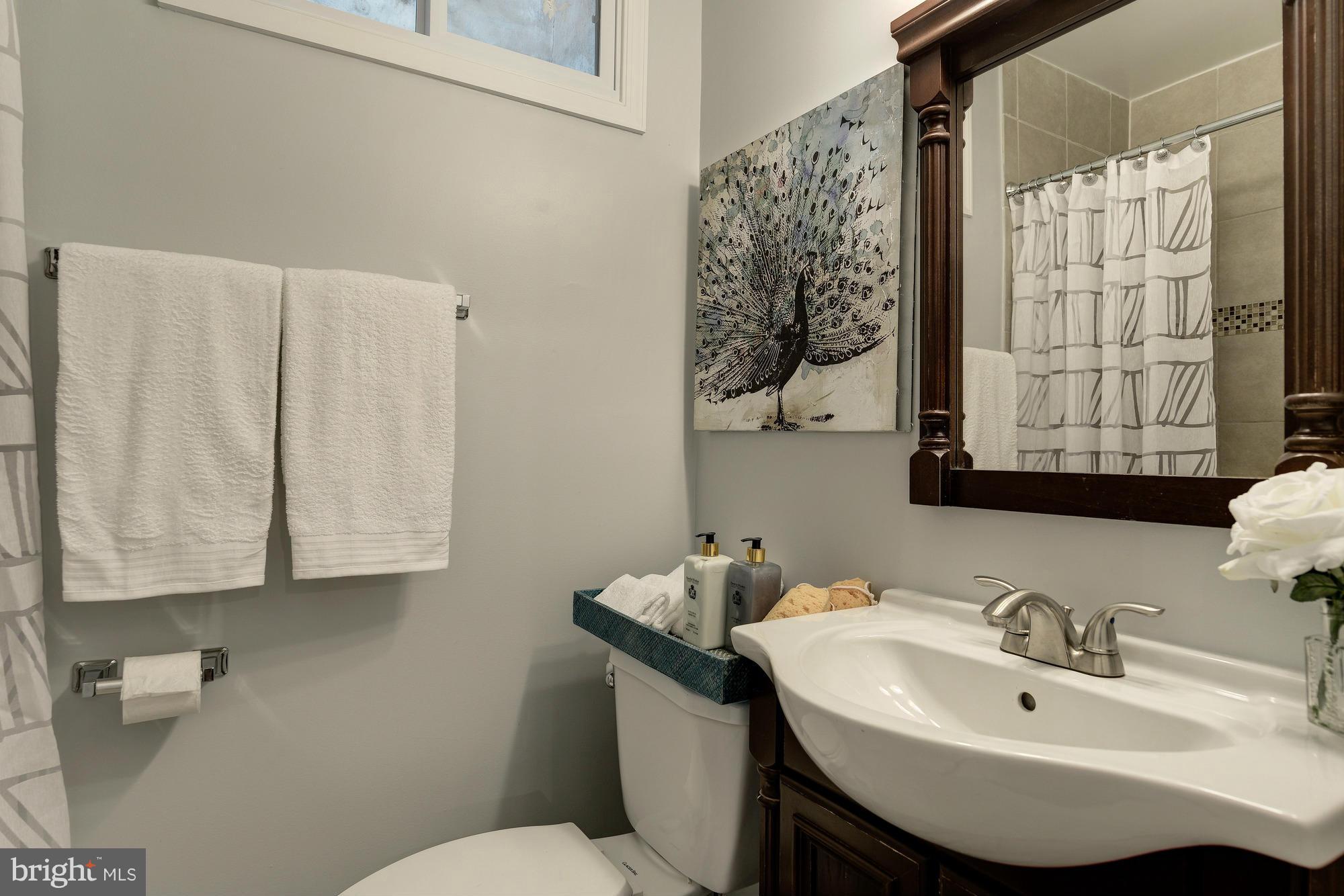 1251 Meigs Place Northeast, Unit 1 Washington, DC 20002 - Photo 6 of 18 Bath
