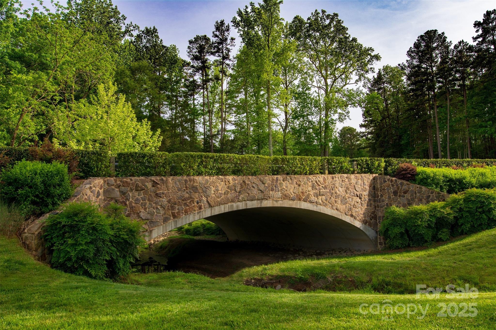 6223 Hollow Oak Drive, Unit 87 Mint Hill, NC 28227 - Photo 15 of 16 a view of yard with swimming pool and green space