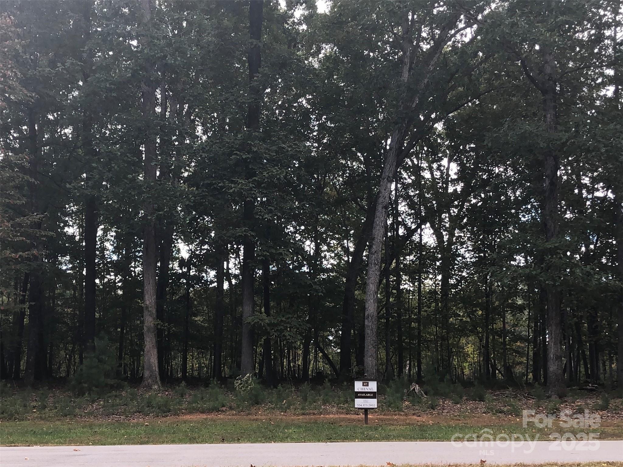 6223 Hollow Oak Drive, Unit 87 Mint Hill, NC 28227 - Photo 2 of 16 a view of road with trees