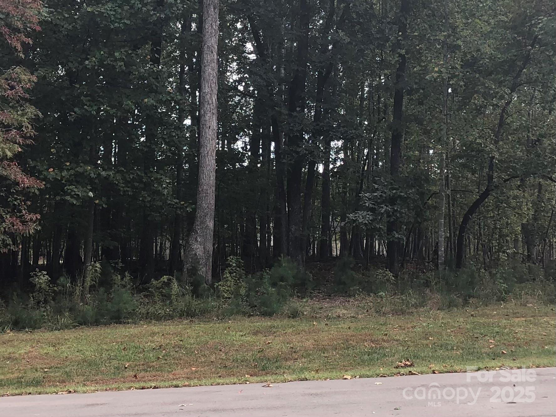 6223 Hollow Oak Drive, Unit 87 Mint Hill, NC 28227 - Photo 4 of 16 a view of a yard with green space and trees