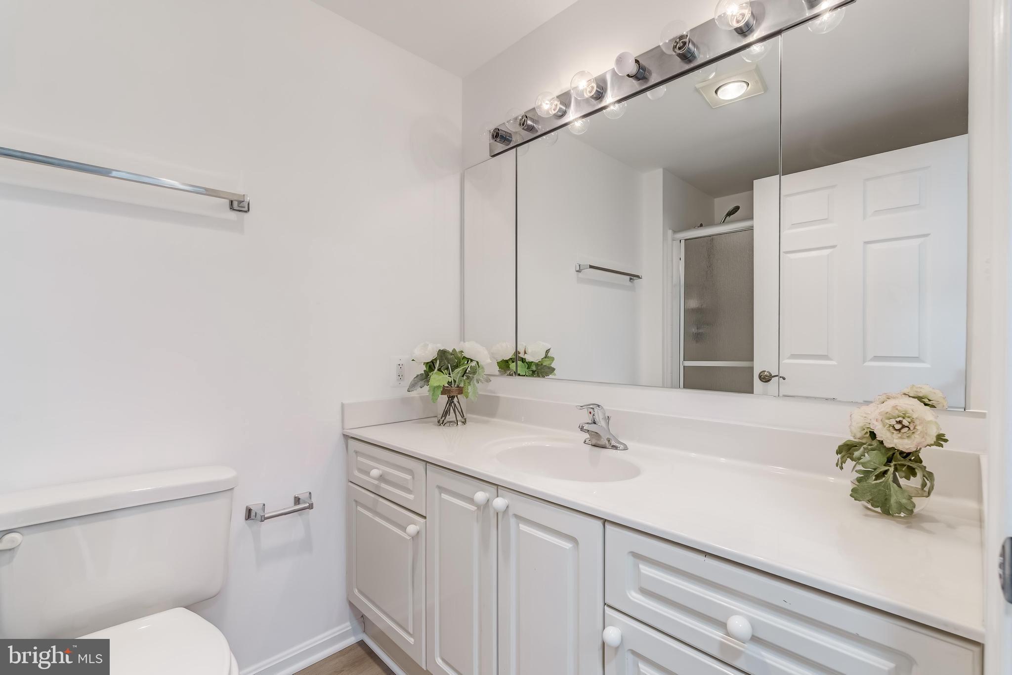 19355 Cypress Ridge Terrace, Unit 114 Leesburg, VA 20176 - Photo 27 of 42 a bathroom with a sink and mirror with toilet