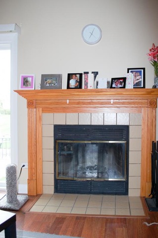 167 North Oltendorf Road Streamwood, IL 60107 - Photo 11 of 15 a fireplace with a clock on top of it