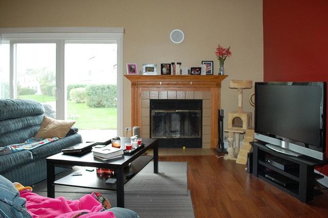 167 North Oltendorf Road Streamwood, IL 60107 - Photo 3 of 15 a living room with furniture a flat screen tv and a fireplace