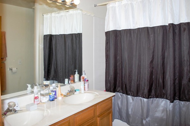167 North Oltendorf Road Streamwood, IL 60107 - Photo 9 of 15 a bathroom with a sink vanity and a mirror