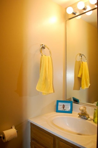 167 North Oltendorf Road Streamwood, IL 60107 - Photo 10 of 15 a bathroom with a sink and a mirror