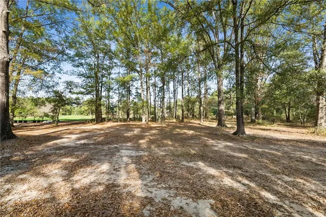 $379,900 | 26105 Dove Street, Ponchatoula, LA 70454