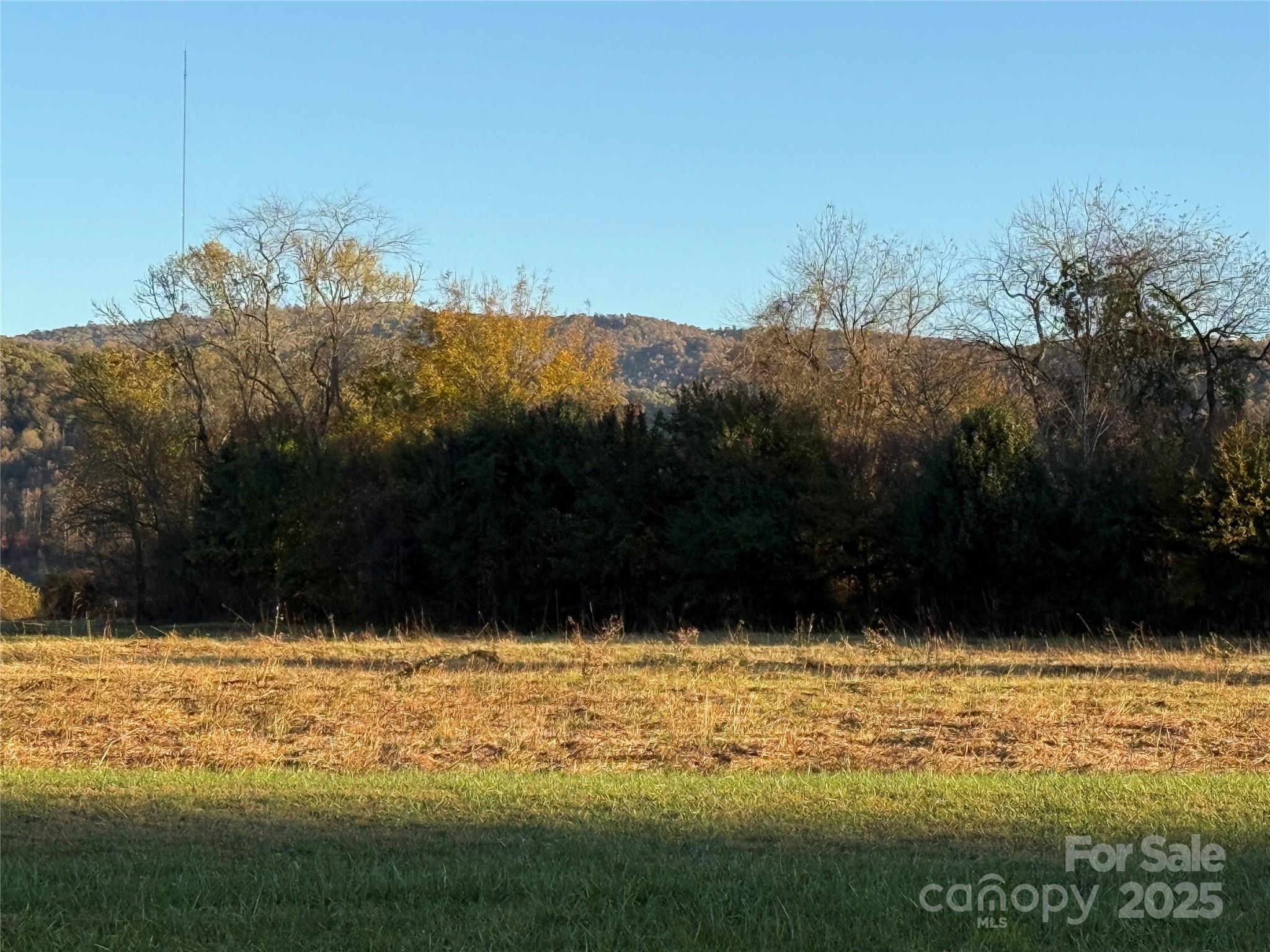296 Gallimore Road Brevard, NC 28712 - Photo 35 of 36