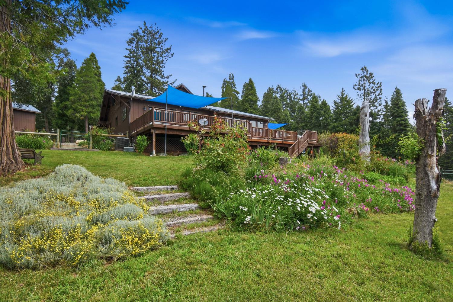 29070 Ridge View Road Foresthill, CA 95631 - Photo 46 of 66