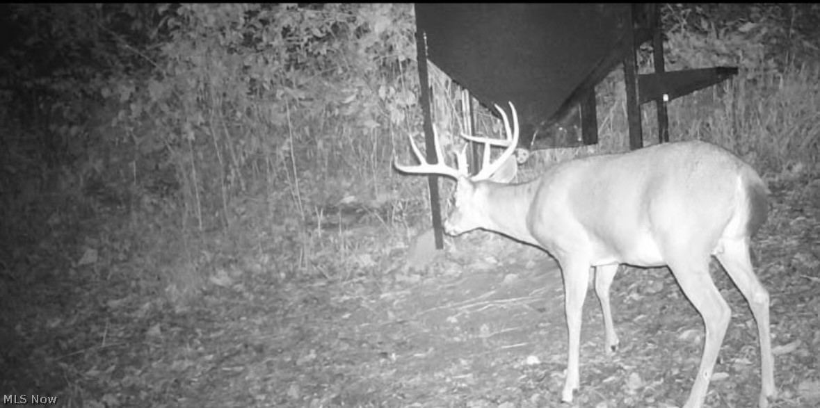 Crum Ridge Road Caldwell, OH 43724 - Photo 50 of 50 Gallery Image 50