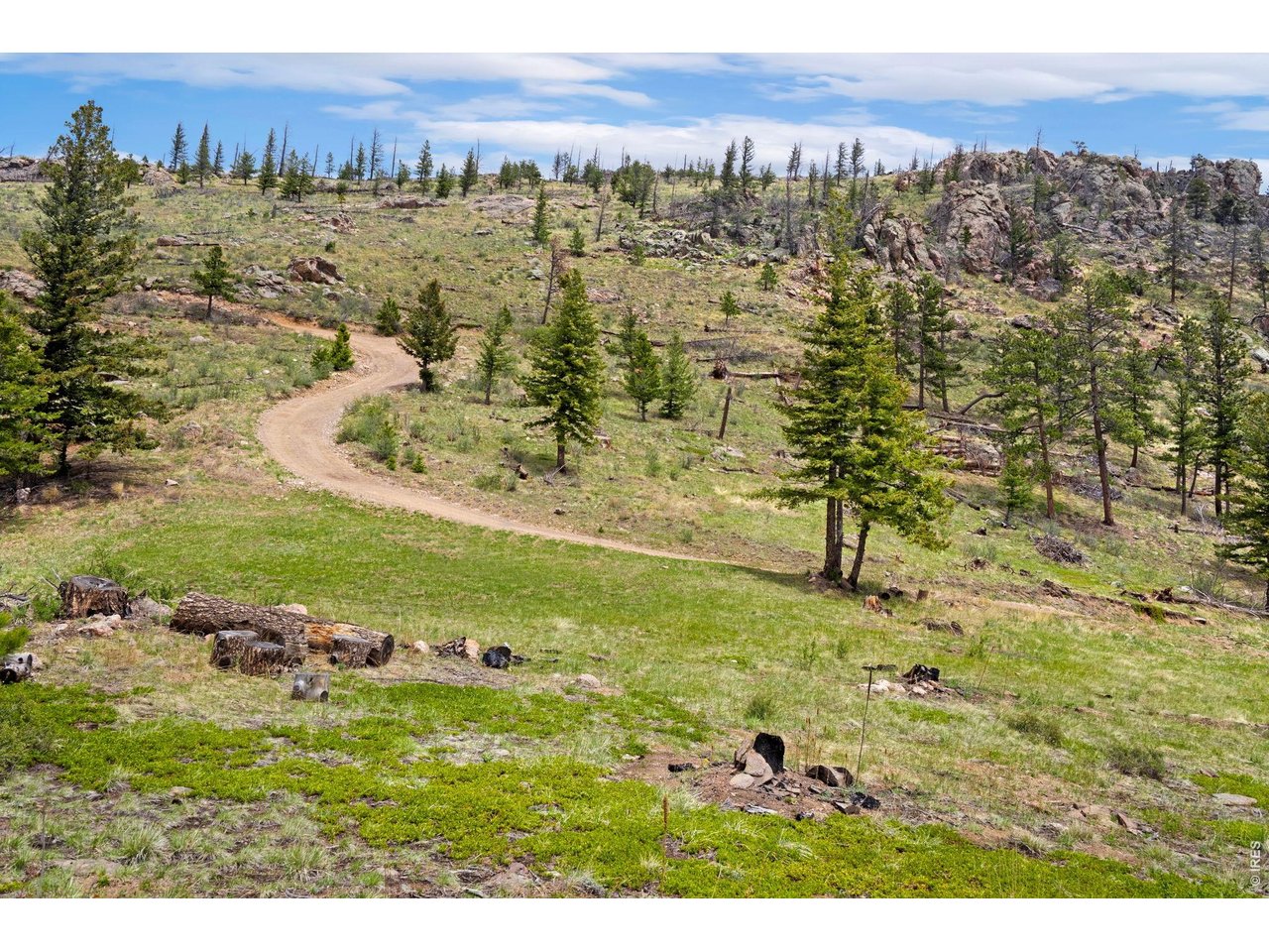 0 Spencer Mountain Road Bellvue, CO 80512 - Photo 3 of 12