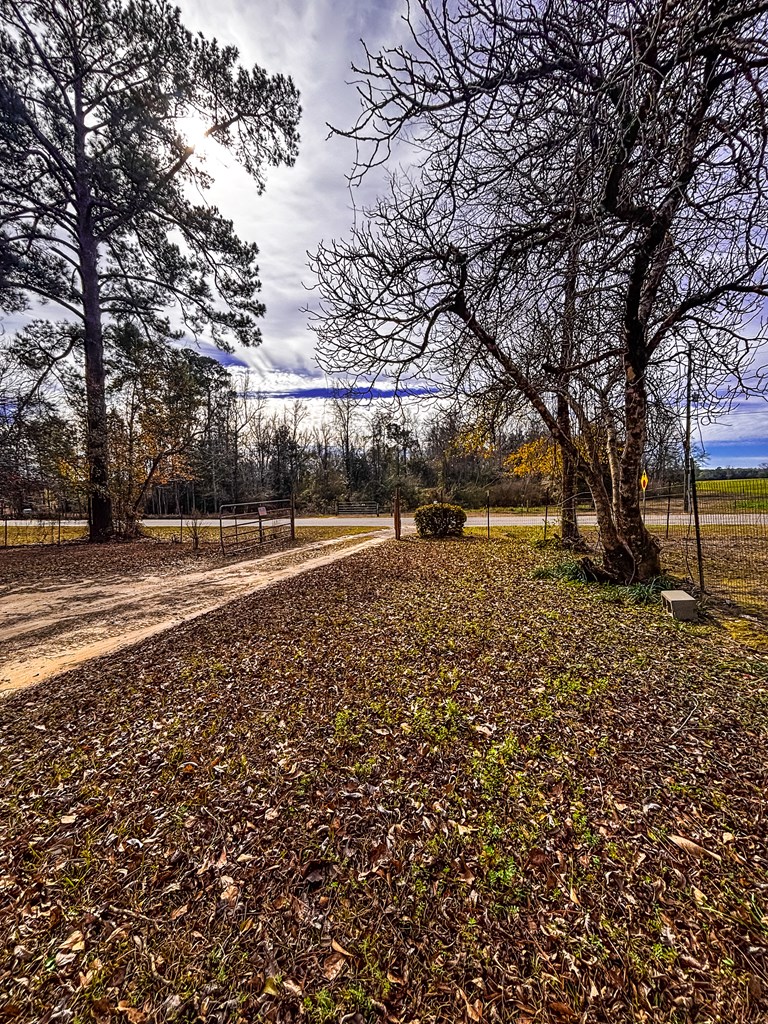 1456 West Saunders Road Dothan, AL 36301 - Photo 5 of 13