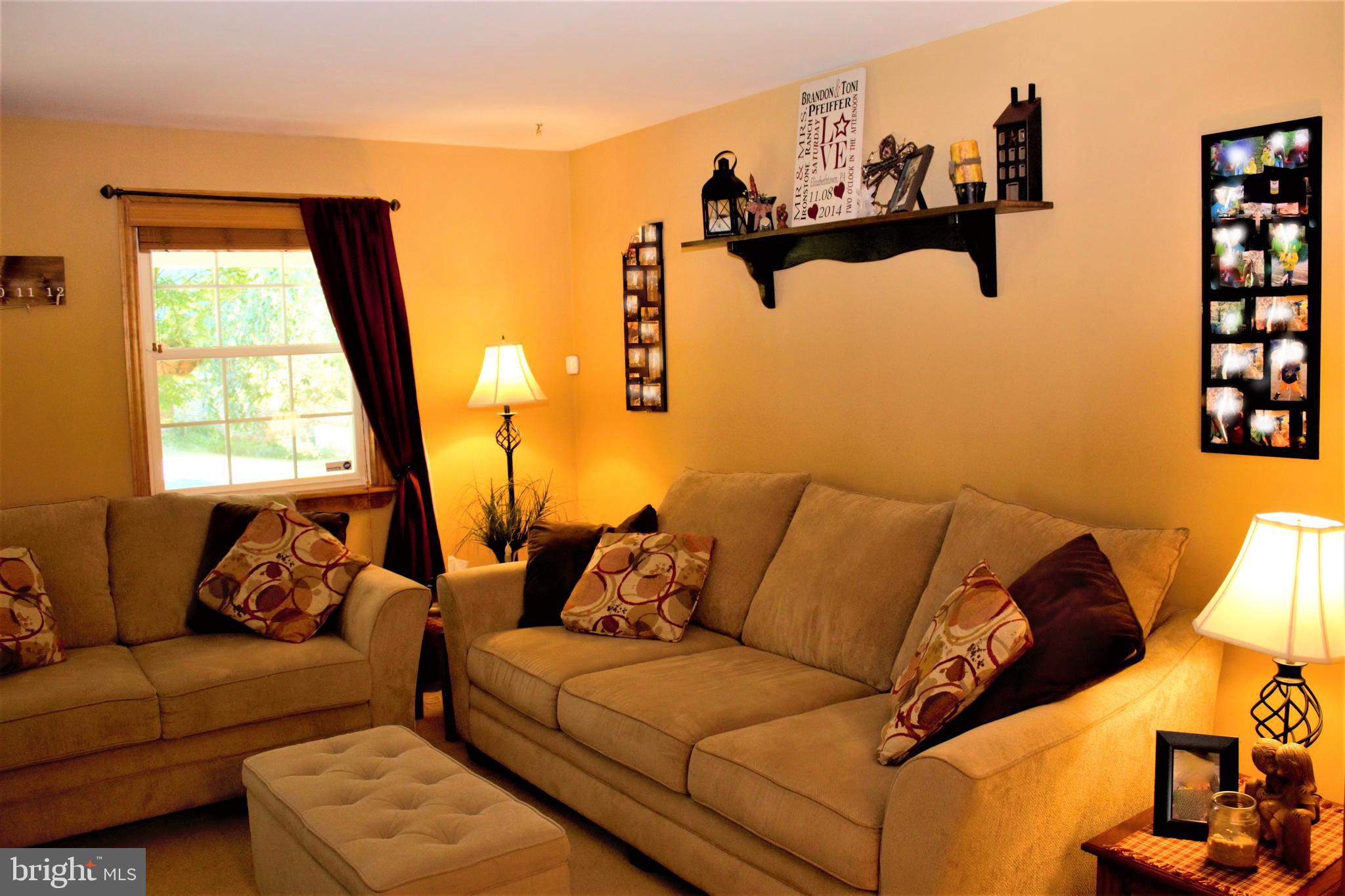 920 Sickmans Mill Road Conestoga, PA 17516 - Photo 3 of 12