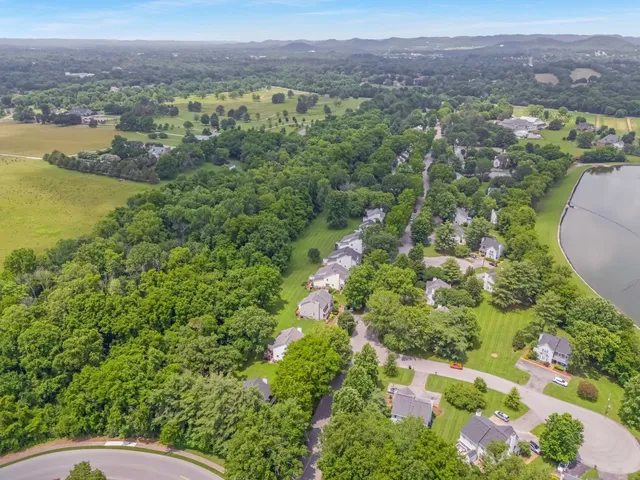 a view of a lake with a city