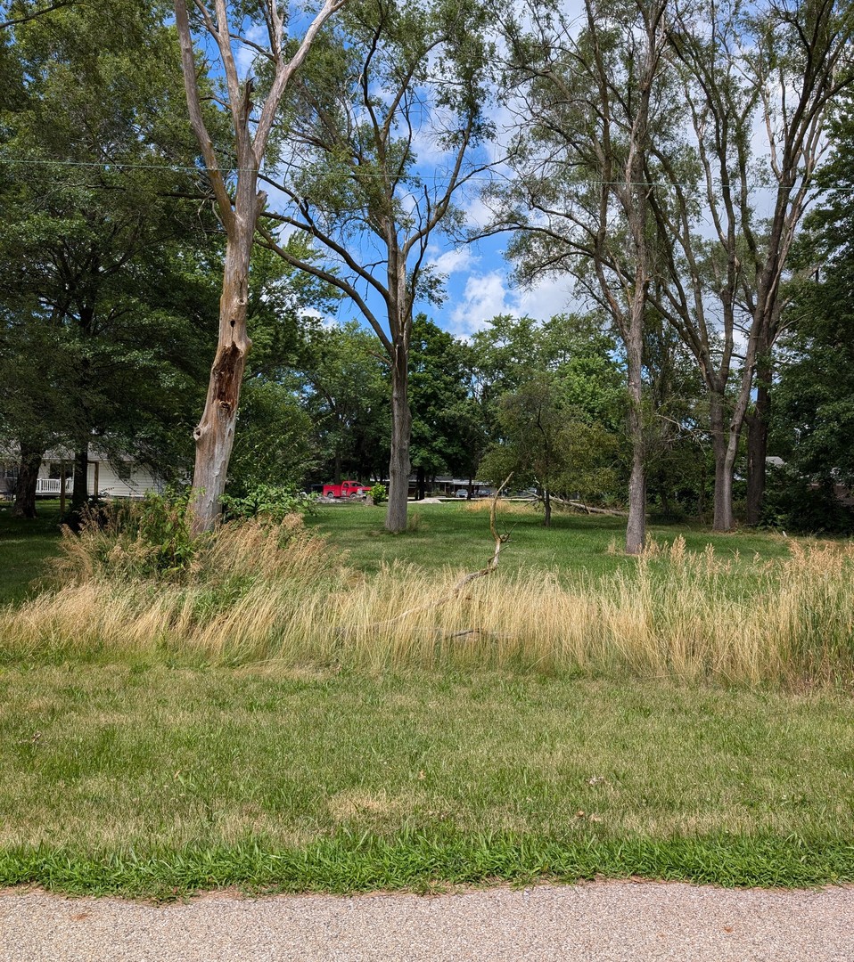 Lot 43 West Charles Road Morris, IL 60450 - Photo 1 of 1 a view of lake with green space