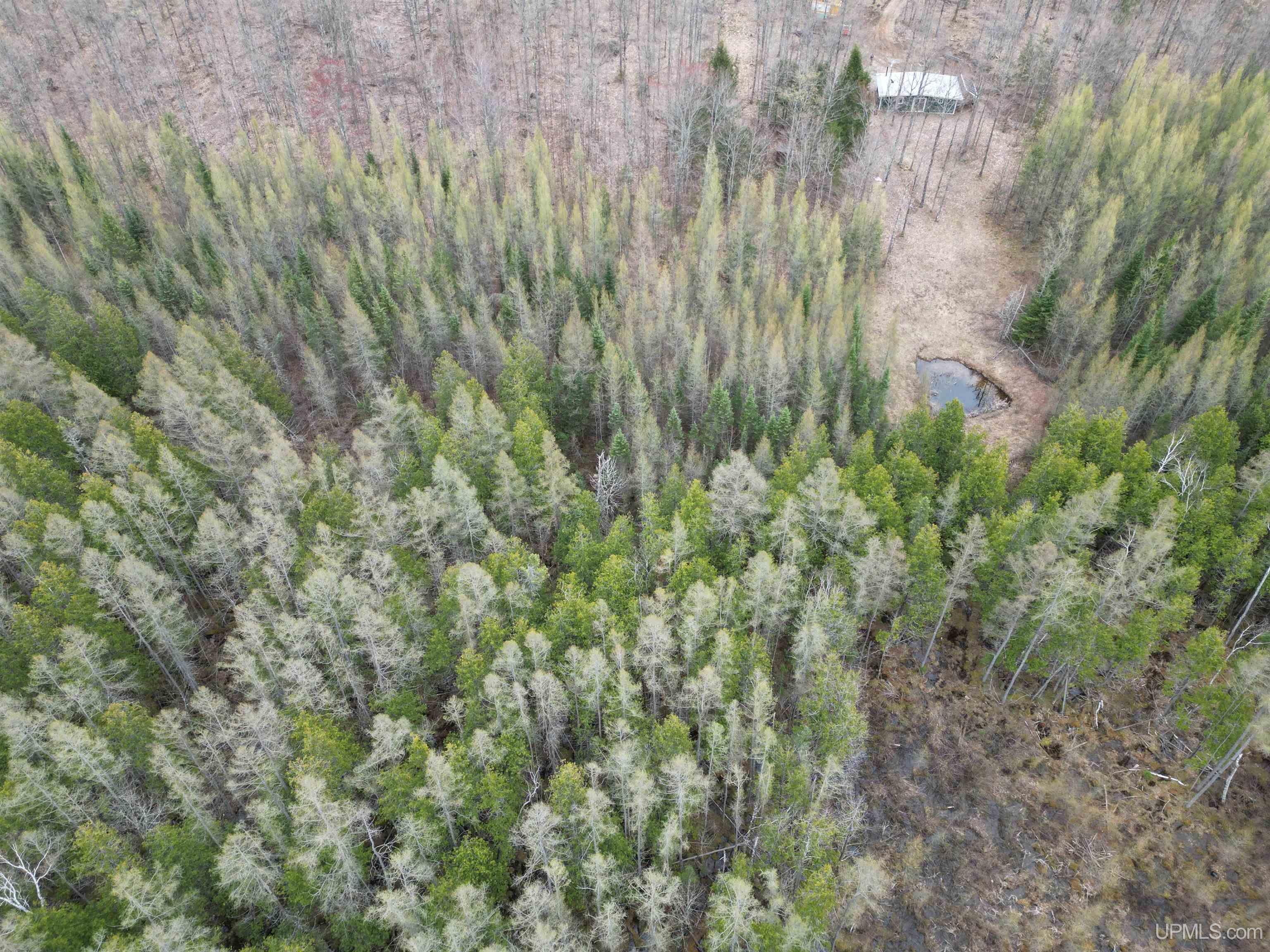 Tbd Tbd Sand Road Road Perronville, MI 49873 - Photo 8 of 25