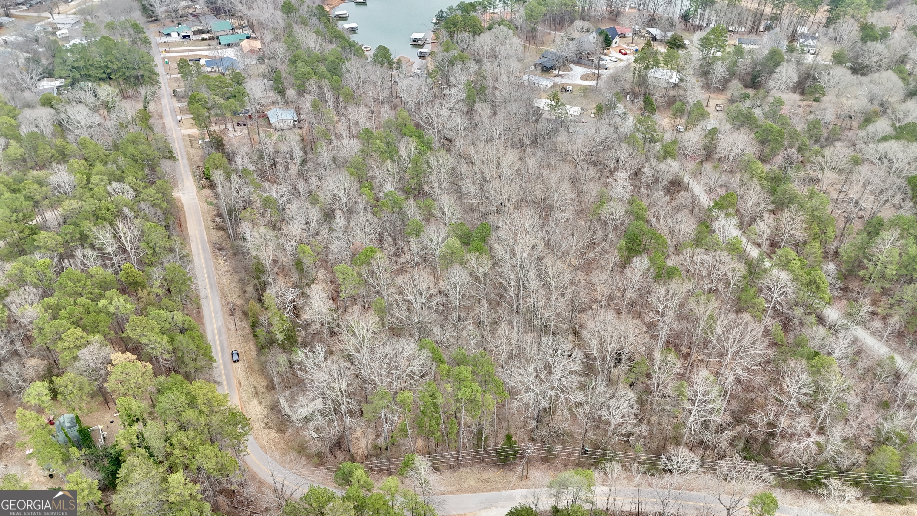 0 Lakeshore Road Martin, GA 30557 - Photo 11 of 12